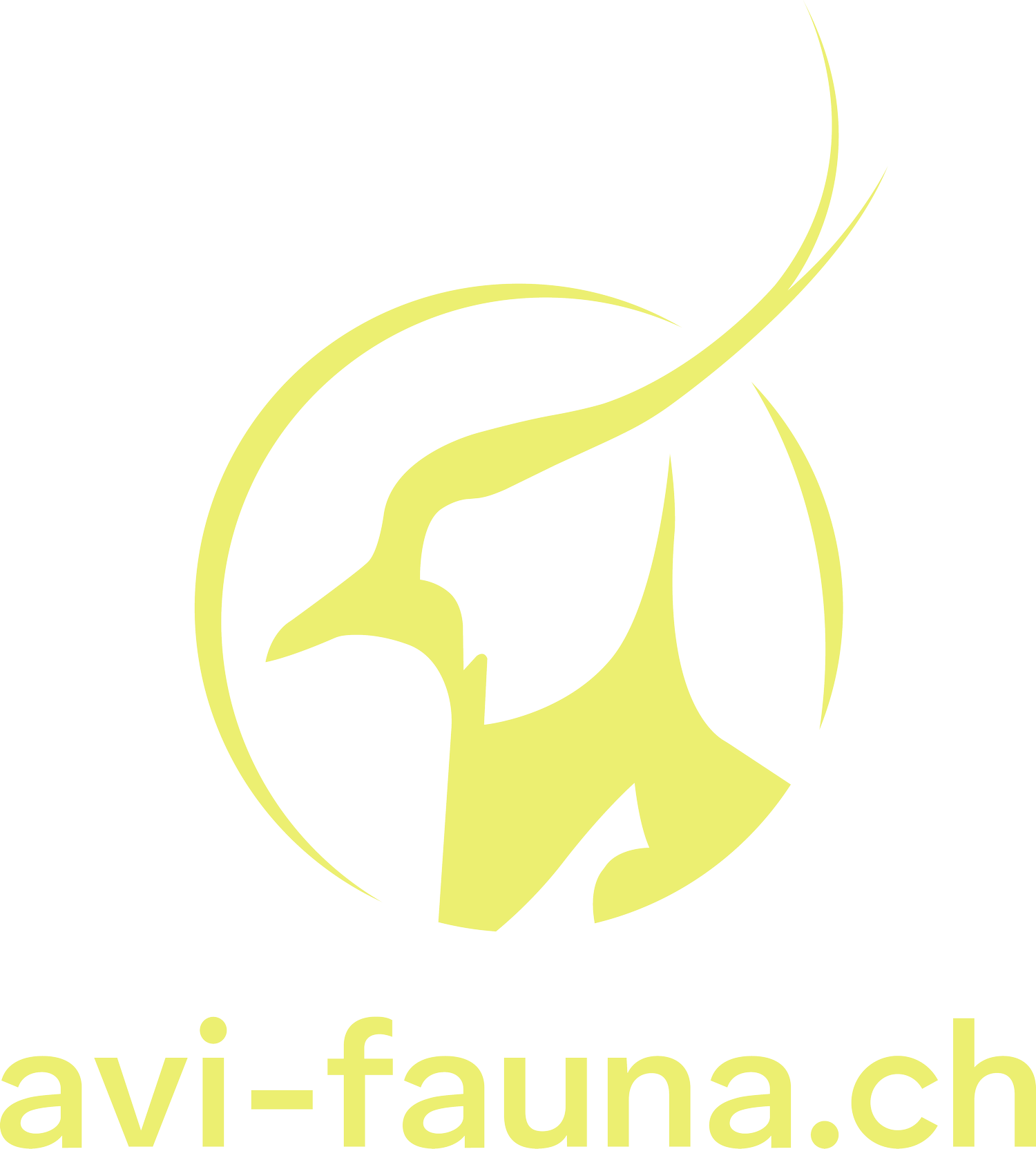 avi-fauna